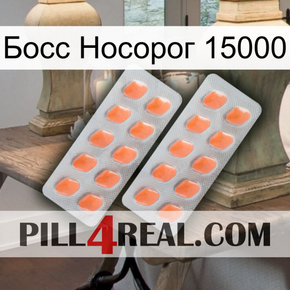 Босс Носорог 15000 27.jpg